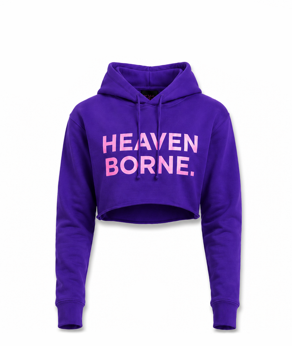 Purple & Pink Cropped Hoodie